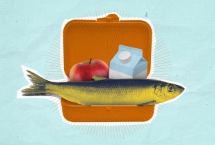 Q&A: Why Something Fishy Is Good for a Child's Diet